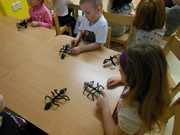 Workshop o životě mravenců